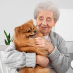 Senior_Pet
